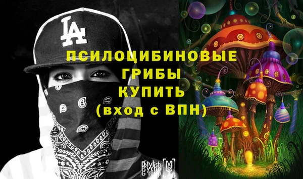 марки lsd Белокуриха