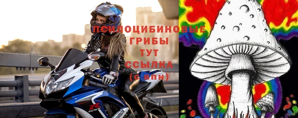 ГАЛЛЮЦИНОГЕННЫЕ ГРИБЫ Белоозёрский
