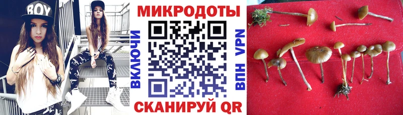 Купить закладки  Фатеж  Псилоцибиновые грибы Psilocybine cubensis 